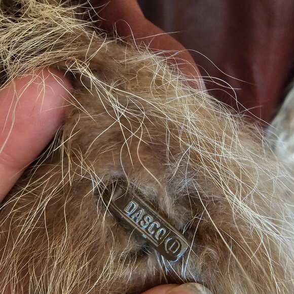 Vintage Dasco Fur Coat - Picture 6 of 11